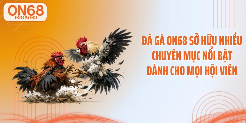 Đá gà ON68 sở hữu nhiều chuyên mục nổi bật dành cho mọi hội viên